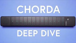 Chorda Deep Dive   – Everything You Need to Know in 12 Minutes – Chorda by Artiphon
