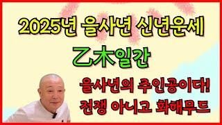 2025년 을사년 신년운세 乙木일간 을사년 주인공은 을목!