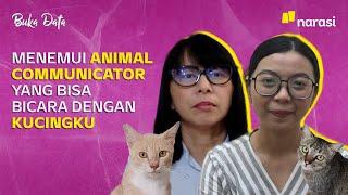 Mengungkap Perasaan Kucing Lewat Animal Communicator. Sains atau Ilmu Palsu? | Buka Data