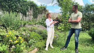 Varga Judit/Juditu öko kertje. Esővíz gyűjtés, komposztálás, ingyenes növényszaporítás…