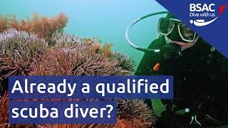 Already a trained diver? Join BSAC's community of scuba divers in the UK and worldwide