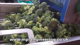 Broccoli & Cauliflower Floretting Machine