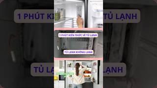 Tủ lạnh không lạnh, nguyên nhân và cách khắc phục p1 - 1 phút kiến thức tủ lạnh #tulanhkhonglanh