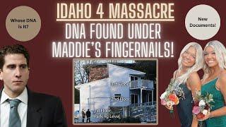 Idaho 4: Huge Update! 3 DNA Profiles Found Under Maddie Mogen's Fingernails! #Idaho4Update #Idaho4