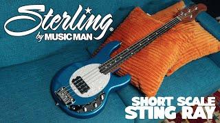 Checking Out The Sterling By Music Man Short Scale StingRay!