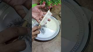 Chicken Cigars taste yummmm#tummilicious #shortvideo #ramadan #ramadan #viral #shorts