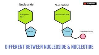 Different Between Nucleoside & Nucleotide in Hindi | Botany Mantra