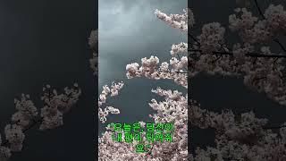 오늘은, 당신이 내 편이 되어줘요｜감성 아침 편지