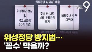 위성정당 방지법…'꼼수' 막을까? [따져보니]