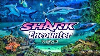 Zoo Tours: DINE-WITH-SHARKS! Shark Encounter | SeaWorld Orlando