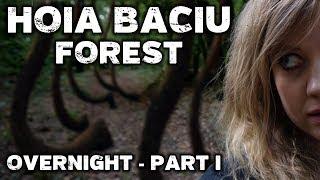 OVERNIGHT in World's Most HAUNTED FOREST | Hoia Baciu Forest Romania - Part 1