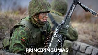 Lietuvos kariuomenės Sausumos pajėgų karių vertybės
