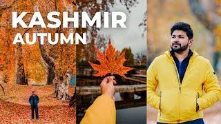 KASHMIR in AUTUMN | Itinerary, Stay & Expenses | Srinagar | Sunny Gala