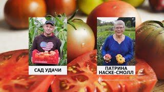 ALL ABOUT DWARF TOMATOES FROM THE BREEDER OF DWARF TOMATO PROJECT! (ENGLISH SUBTITLES)