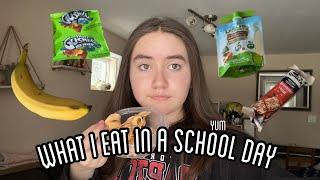 WHAT I EAT IN A SCHOOL DAY (I eat a lot)