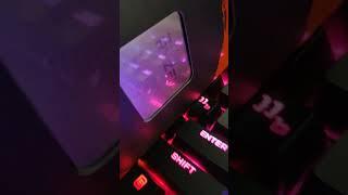 AMD RYZEN 9 5950X 