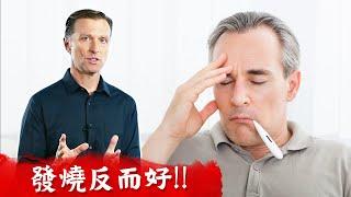 發燒7大好處,發燒多少度是安全? 自然療法,增強免疫力.柏格醫生 Dr Berg