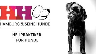 Hamburg & seine Hunde | Folge 11 - Tierheilpraktiker für Hunde