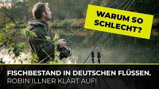 Schlechte Fischbestände in deutschen Flüssen – woran liegt das? Robin Illner klärt auf!