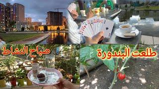 بلشت تطلع الخضار بحديقتي/أحلى قعدة مع رفقاتي