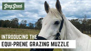 Equi-Prene Grazing Muzzle - Greg Grant Saddlery