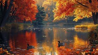 24/7 Sweet Autumn Melody  Beautiful New England Fall Foligae 4K ~ Peaceful Relaxing Music