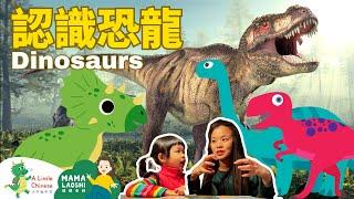 #媽媽老師親子共學 Dinosaurs in Chinese 恐龍小常識 | Learn Chinese for Kids, Toddlers & Preschoolers