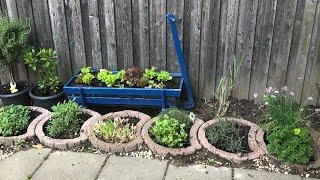 Projekt: Garten