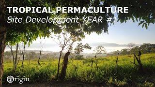 TROPICAL PERMACULTURE – Site Development Year #1