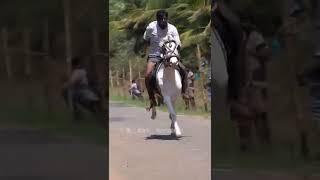 Devarayapuram Horse race