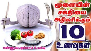  மூளை திறனை அதிகரிக்க செய்யும் உணவுகள்| Improve your Brain Power | Top 10 Brain Foods Tamil