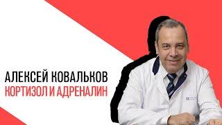 «Есть или не есть», кортизол и адреналин - гормоны коры надпочечников