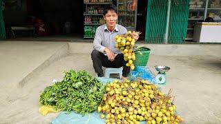 Harvesting Litchi Fruit, Vegetable Garden goes to the market sell | Solo Survival