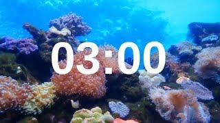 3 Minute Timer Relaxing Music Lofi Fish Background