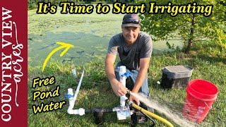 Barn Clean out.  Why I didn't buy Bulk Feed.  Setting up the Pond Irrigation Pump.