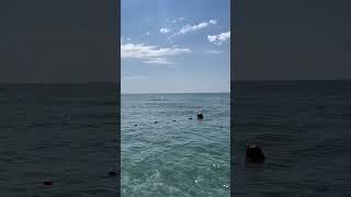 Сентябрь в Крыму Мирный, Поповка #beach #крым #мирный #travel