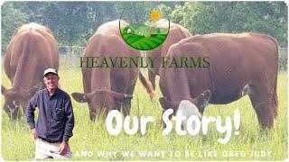 How to start a Beef Cattle Farm TIPS for beginners & about Heavenly Farms