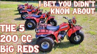 FIRST EVER Honda Big Red 200E & 200ES Line Up!  All 5 variations in a video for the first time EVER!