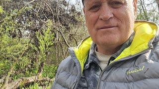 С праздником дорогие товарищи !!! Возвращаюсь к одному из комментариев !!!