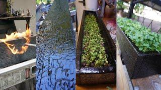 Natural Hydroponics with Yakisugi