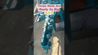 Large-Size Nails Making Machine #nailmakingmachine #lowinvestmentbusiness #businessideas #machine