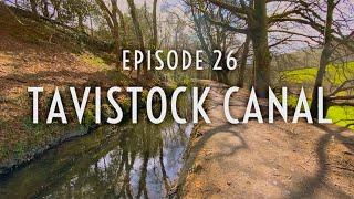 Episode 026 - Tavistock Canal