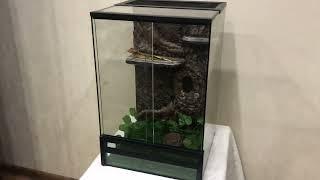 Террариум 45*30*30 для бананоеда