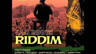 Cali Roots Riddim Mix (Full) Feat. Etana, Collie Buddz, Anthony B, Gentleman, Jesse Royal (May 2020)