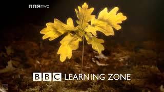 Learning zone ident languages and travel (2009)