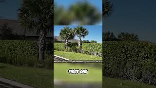 Explore Pulte Homes  The Best Neighborhood in Wild Blue! #wildblue #pultehomes #southwestflorida