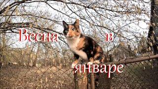 Как я увлеклась стройкой и столяркой. Жизнь на Лесном Хуторе.