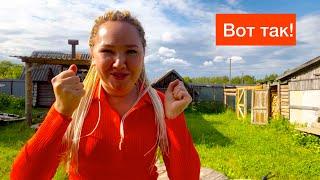 Одна с Детьми /. Это Лето Как Осень/ Цыплятки, готовим, закупка продуктов