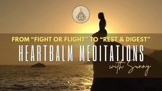 Critical Healing: Moving Out of “Fight or Flight” and into “Rest and Digest” Guided Meditation