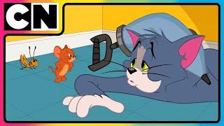 Tom and Jerry | Tom’s Icy Pursuit! | Compilation | Animation Cat and Mouse | @cnindia